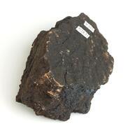 M 02633
<br/>
<br/>
<em></em>